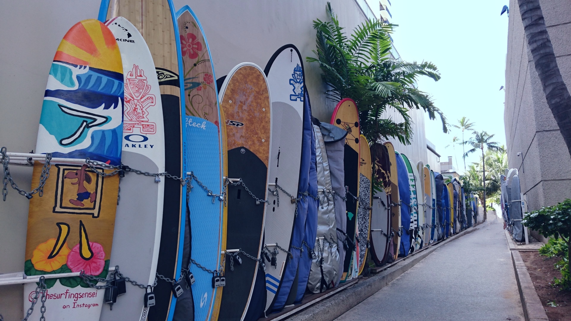 サーフィン初心者がサーフボード、ウェットスーツ、リーシュコードを