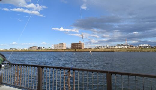 旧江戸川沿いのなぎさ公園は家族で楽しむハゼ釣り最強スポット！