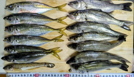 茨城・久慈川河口野営地で車中泊！格安・爆釣の週末リセット旅