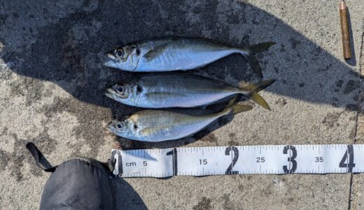 【大津漁港】高確率で尺アジを釣るためのポイントと戦略！地元の爺さん釣り師に聞いたことまとめ