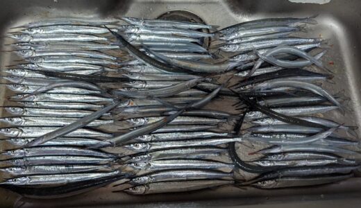 鹿島港魚釣園でサヨリ釣り「タイパ・コスパ最強」爆釣メソッドと、おすすめのギア選び